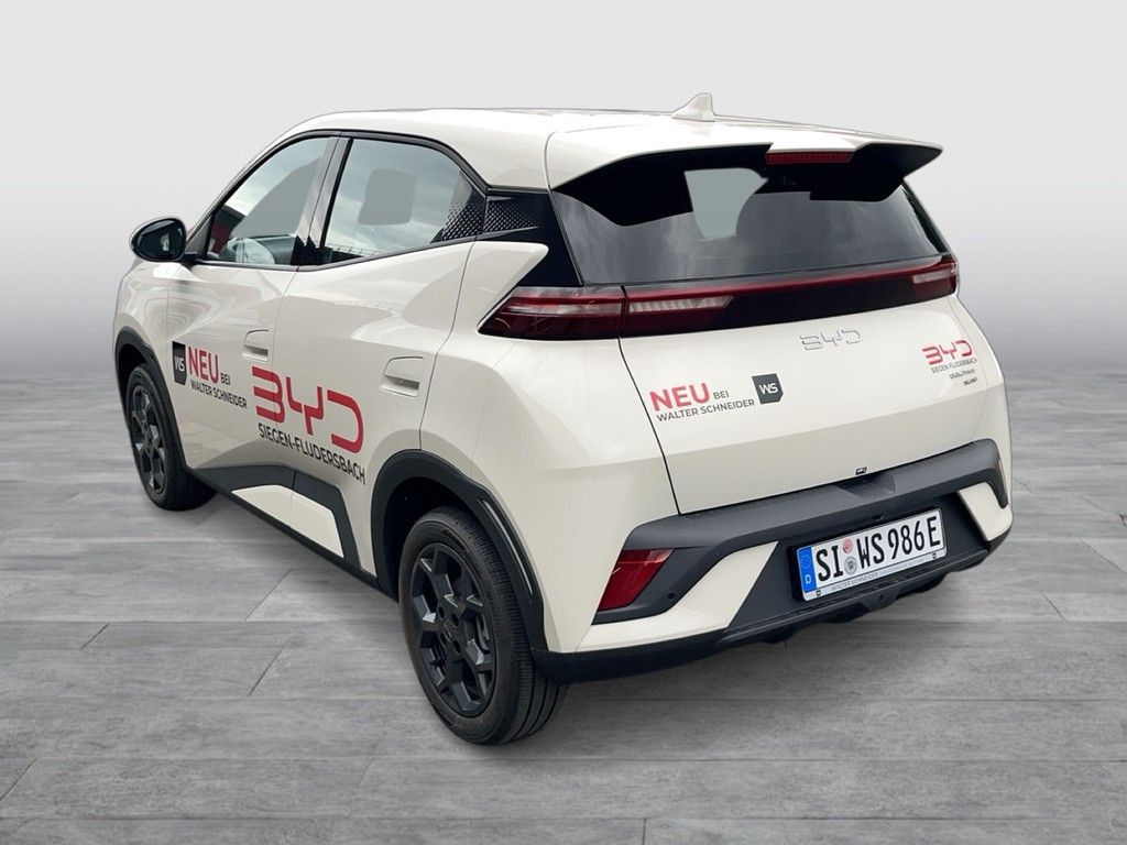 BYD DOLPHIN SURF