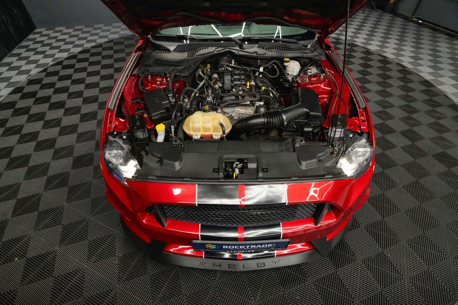 Fahrzeugabbildung Ford Mustang Shelby Coupe GT 350 Package Dark Horse