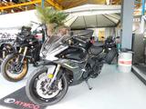 Benelli TORNADO 550 Sportler* Legend is back*auch 48PS* - BENELLI SPORTLER