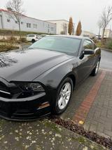 Ford Mustang 2.3 - Ford Mustang Gebrauchtwagen in Köln