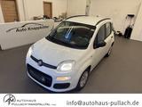 Fiat Panda My Panda 1,2 8V Klima/Dachrel./eFH. - Fiat Panda: 1.1