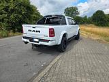 Dodge RAM BIG Horn - Dodge RAM in Hamm