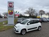 Fiat New Panda 85PS TwinAir LOUNGE AUTOMATIK usw. - Fiat New Panda: Kleinwagen