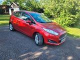Ford Fiesta 1,0 EcoBoost 140PS Titanium Ausstattung