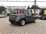 Fiat New Panda 1.0 Hybrid *5 Sitzer Klima Komfort* - Fiat New Panda aus 2024