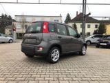 Fiat New Panda 1.0 Hybrid *5 Sitzer Klima Komfort* - Fiat New Panda Tageszulassungen