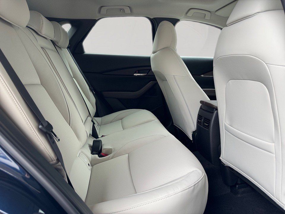 Fahrzeugabbildung Mazda CX-30 2.0i X 186PS A/T Takumi SUNR WLOP