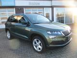 Skoda Karoq Ambition,Klimaaut.,Sitzh.,Lenkradh,PDC,AHK - Skoda: Grün