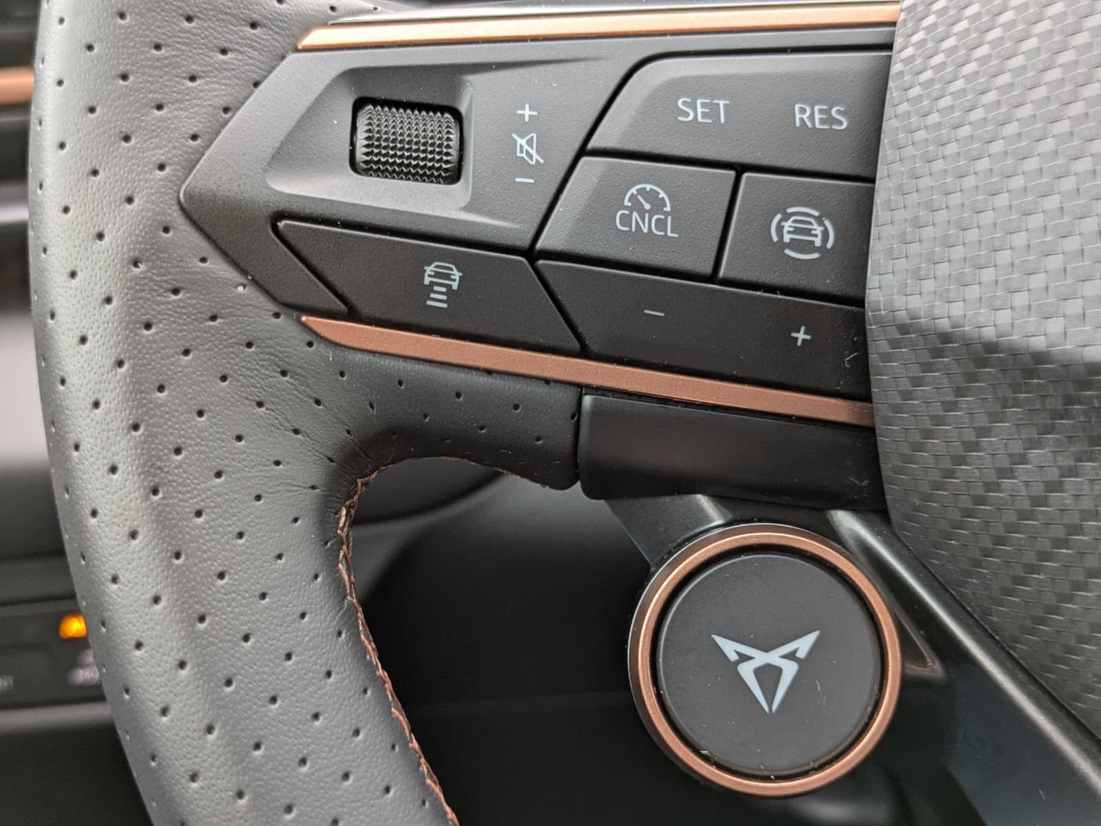 Fahrzeugabbildung CUPRA Terramar 2.0 TSI 4D VZ HUD*MATRIX*PANO*DCC*20"