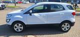 Ford EcoSport Trend - Ford EcoSport: Trend