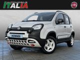 Fiat Panda 4x40 Jahre Edition - Allrad - Fiat Panda: Kombi