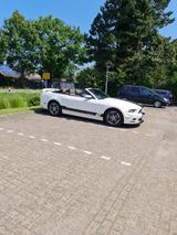 Ford Mustang Cabrio 3,7 v6 neues Verdeck wenig KM  - Ford Mustang: Cabrio, V6
