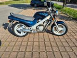 Honda NTV 650 Revere - HONDA NTV 650 REVERE