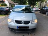 Volkswagen VW Touran 1.6L Automatik/1 Hand/Android Ra... - Volkswagen Touran mit Benzin-Antrieb: Kleinbus, Automatik, 1.6