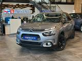 Citroën C4 Cactus Shine *TÜV07/27*AHK*Klima* - Citroën C4 Cactus aus 2018