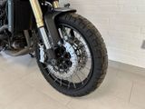 Benelli Leoncino 800 Trail +GIVI TASCHE+ - BENELLI LEONCINO
