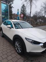 Mazda CX-30 2.0 SKYACTIV-G M-Hybrid AWD - - Mazda CX-30 von privat