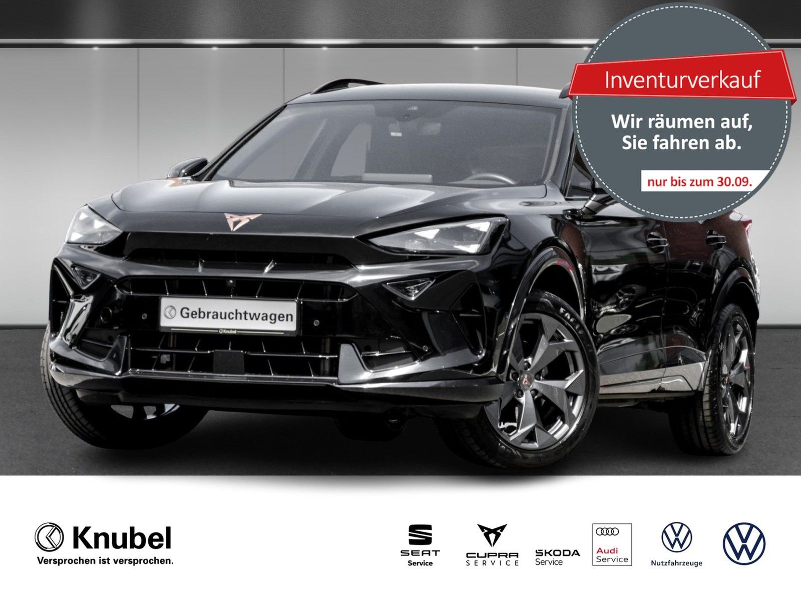 Cupra Formentor 2.0 TDI DSG Matrix Navi AHK TravelAss.