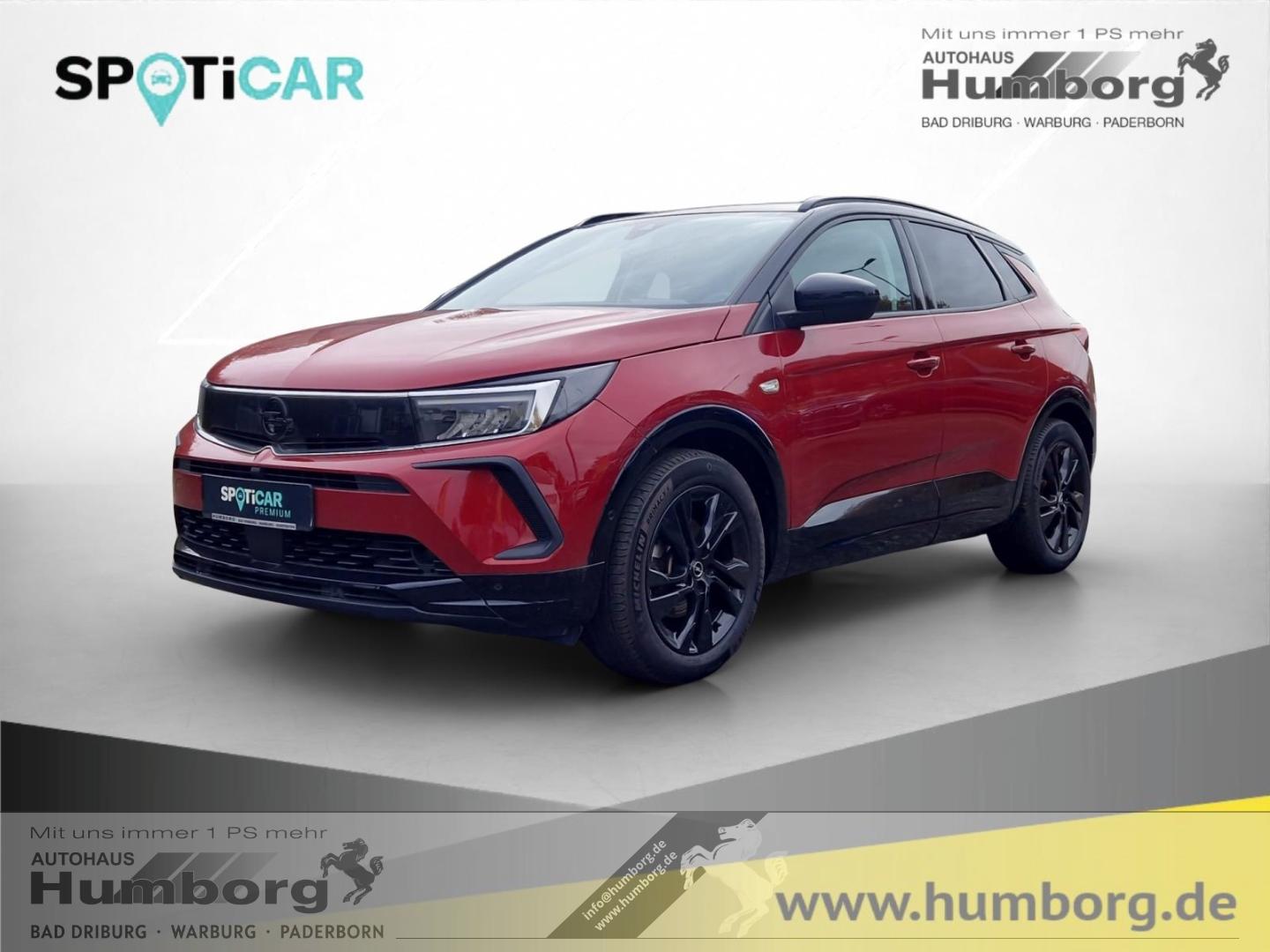 Opel Grandland GS Line 1.2 Turbo Navi Leder LED Apple