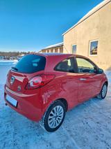 Ford Ka/Ka+ 1,2 Titanium inkl. Winterräder - Ford Ka/Ka+ in Dresden