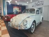 Volkswagen Maggiolino 6 volt vetro piatto ASI +  - VW Gebrauchtwagen von 1965