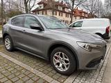 Alfa Romeo Stelvio 2.0 Turbo 16V 147kW B-Tech AT8-Q4 B-Tech - Alfa Romeo Gebrauchtwagen in Karlsruhe