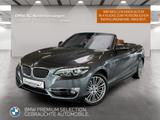 BMW 218i Cabrio Navi Kamera LED Sitzheizung Alarm - BMW 218 in Bochum