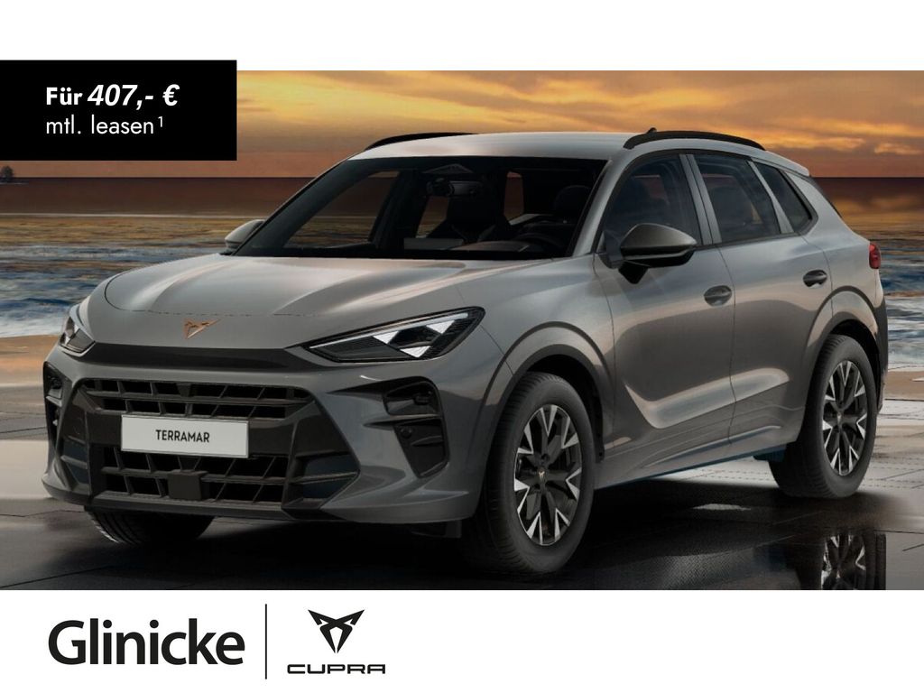 Terramar 1.5 eTSI 110 kW DSG AHK