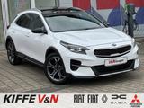 Kia XCeed Platinum Edition SHZx4 Stzlüft Leder Panor - weiße Kia XCeed