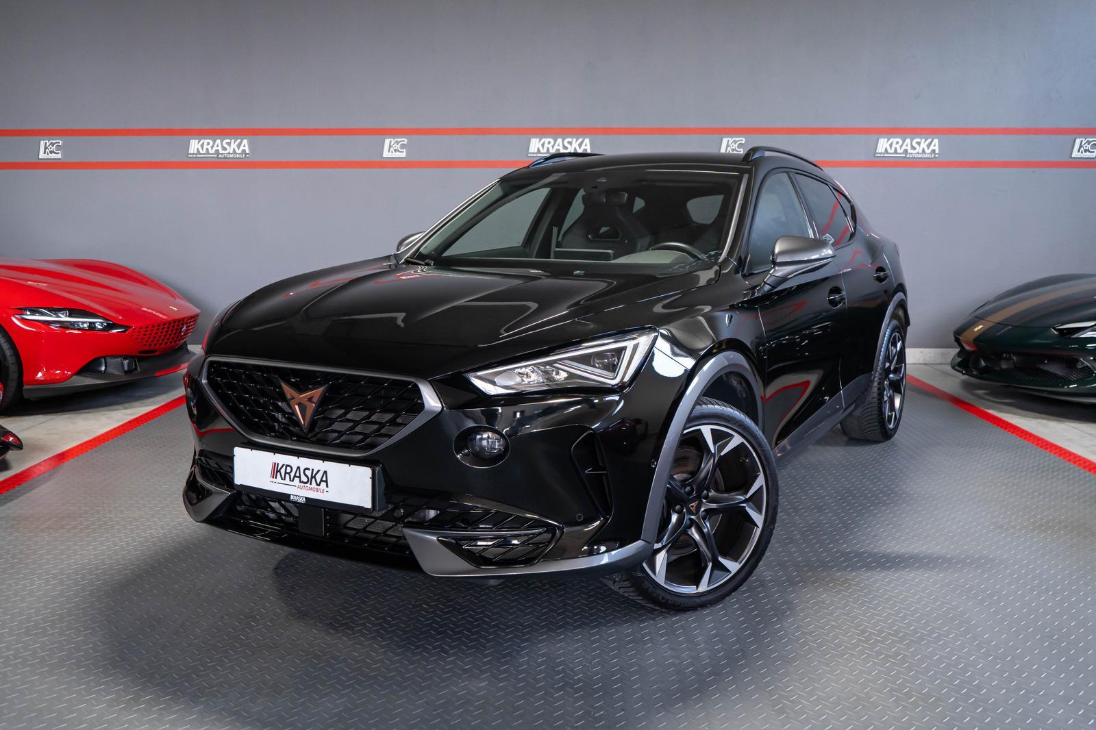 Cupra Formentor 2.0 TSI VZ 4D AHK SHZ RFK BEATS DCC