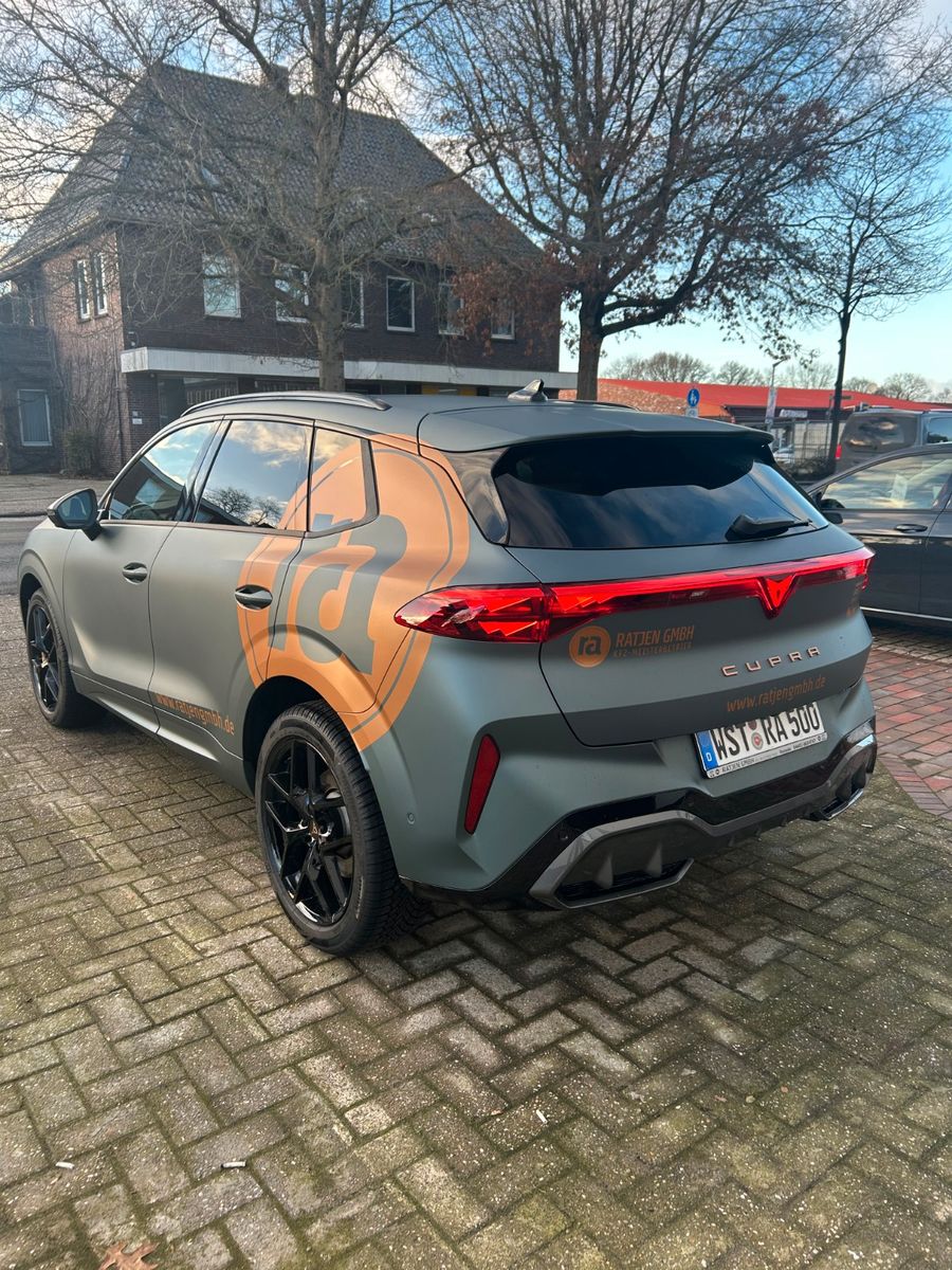 Cupra Terramar - Bild 3