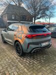 Cupra Terramar - Vorschau Bild 3