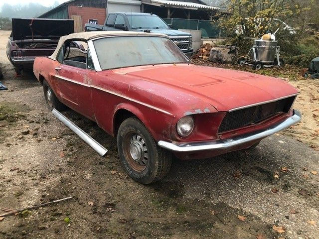 Ford Mustang Cabrio V8