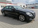 Mercedes-Benz E 250 CDI BlueEF Avantgarde 11500Netto Leder - Mercedes-Benz E 250: Cdi Avantgarde