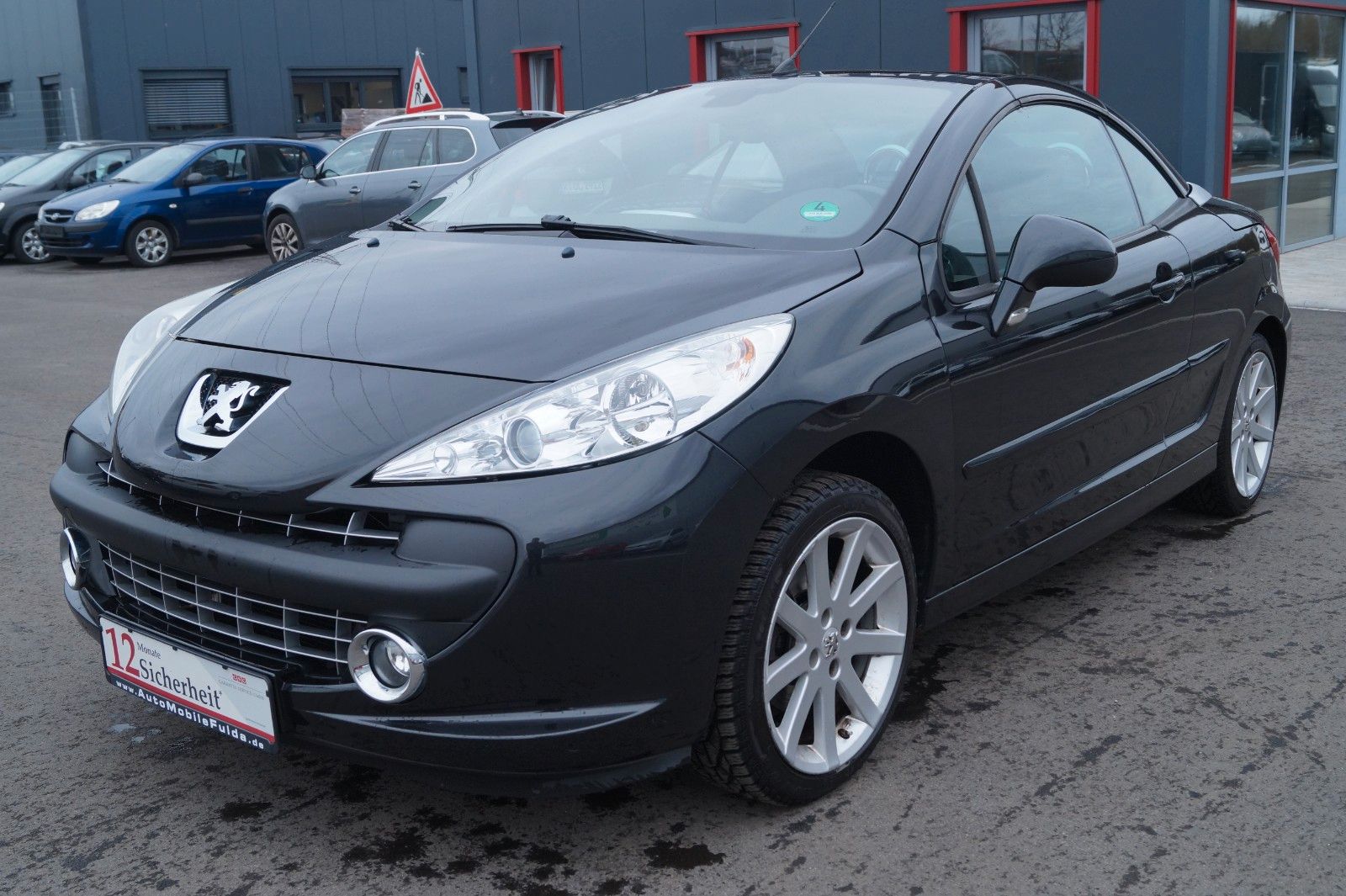 Fahrzeugabbildung Peugeot 207 CC Cabrio-Coupe Roland Garros