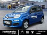 Fiat Pandina Icon 1.0l 70PS Hybrid*GJR / Tempomat*