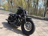 Harley-Davidson Sportster Forty Eight / 48 / XL1200  - Offers