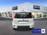 Fiat Panda 1.0 Mild Hybrid (EURO 6d) - Fiat Panda: 1.0