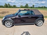 MINI Mini Cooper Caprio Highgate - Caprio gebraucht
