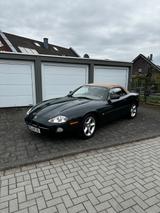 Jaguar XK8 Cabriolet 4.0 V8  - Jaguar XK8: Cabrio