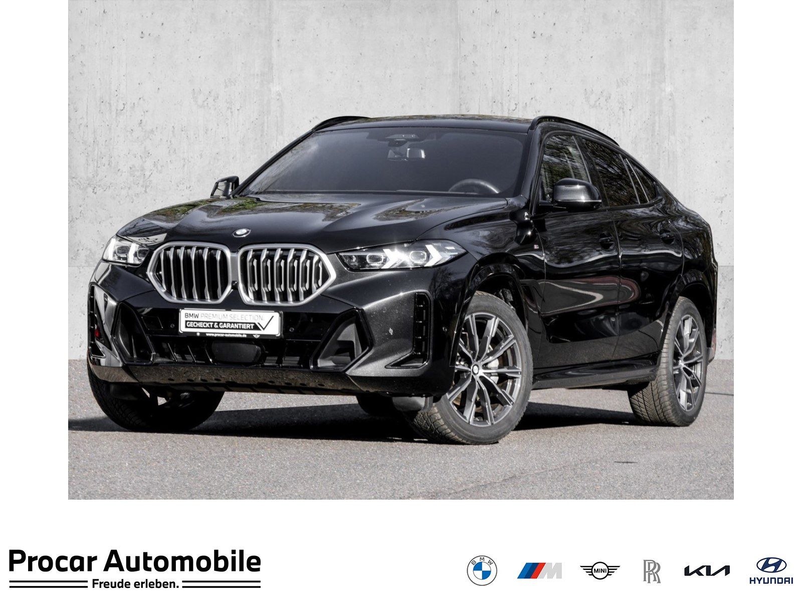 BMW X6 xDrive30d H/K+AHK+PANO+STANDHZG+DA PROF+360°