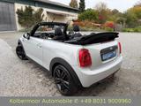 MINI ONE Cabrio JCW ALU|SHZ|PDC| - MINI MINI: Cab