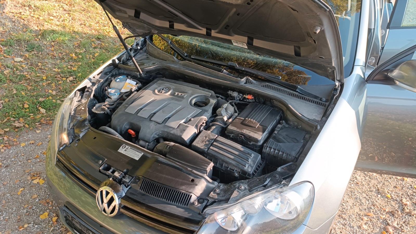 Volkswagen Golf 2010 — вигляд ззаду