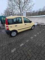 Fiat Panda 1.1 - Fiat Panda in Halle