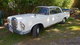 Mercedes-Benz 250 SEC Erstauslieferung Schweiz - Mercedes-Benz 250 aus 1966: 250s