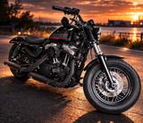 Harley-Davidson Custom 1200 Sportster 48  - HARLEY-DAVIDSON 48