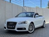 Audi A3 Cabrio S line plus/Xenon+/Navi/Bose/Leder/18" - Audi A3 aus 2010: Cabrio