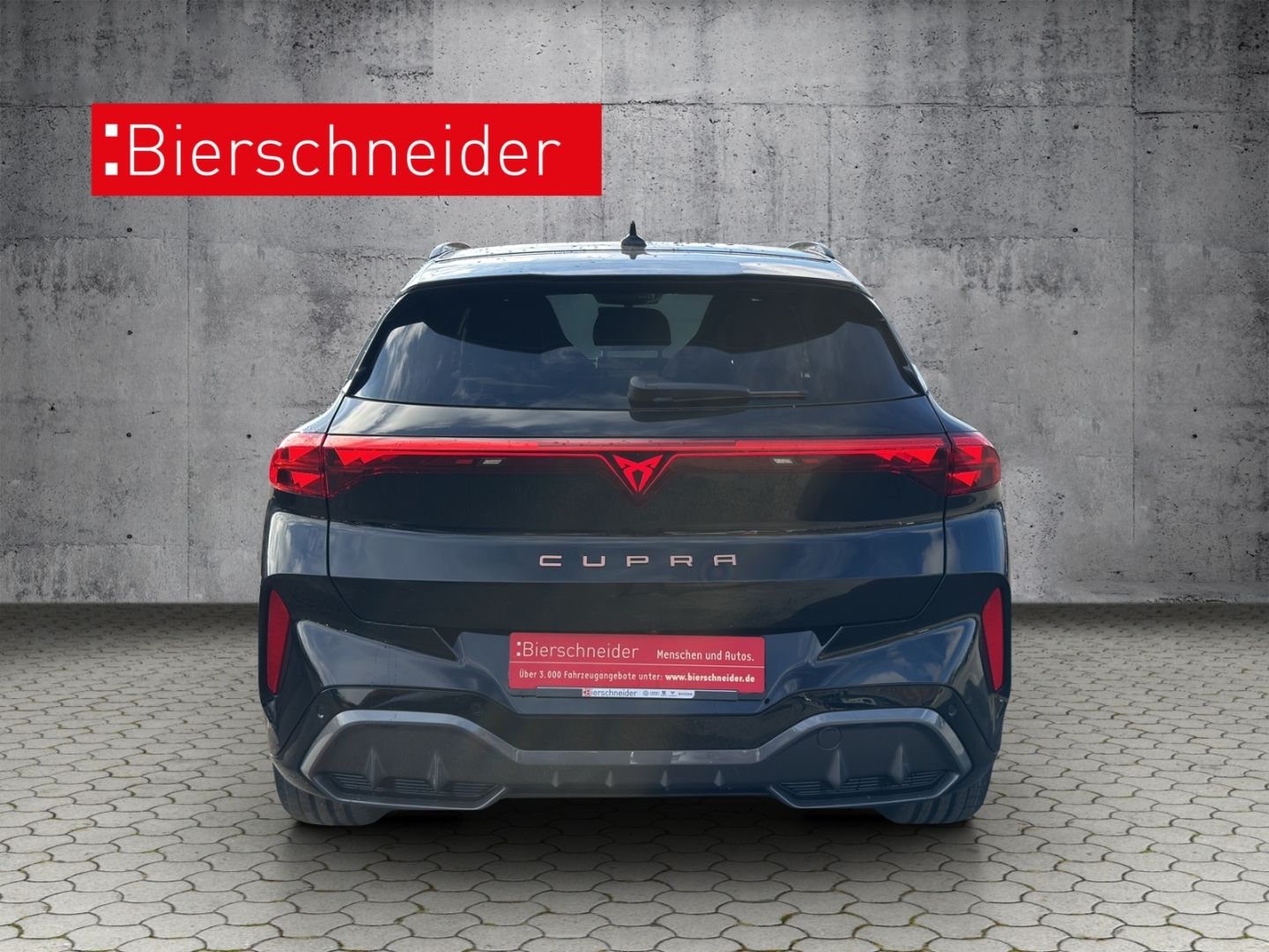 Cupra Terramar - Bild 5