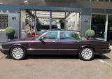 Jaguar Daimler Super V8 - 1. Hd einzigartige Farbkombi - Jaguar Daimler Gebrauchtwagen