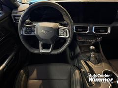 Foto Nummer 5: FORD Mustang